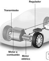 amostra ilustração